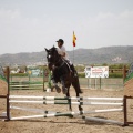 Poni club