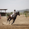 Poni club