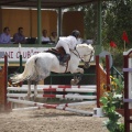 Poni club