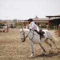 Poni club