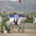 Poni club