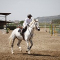 Poni club