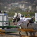 Poni club