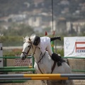 Poni club