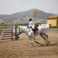 Poni club