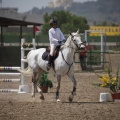 Poni club