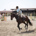 Poni club