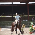 Poni club
