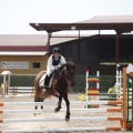 Poni club