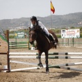 Poni club