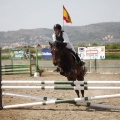 Poni club