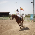Poni club