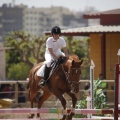 Poni club