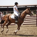 Poni club