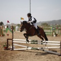 Poni club