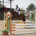 Poni club