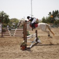 Poni club