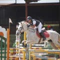 Poni club