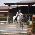 Poni club
