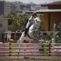 Poni club
