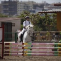 Poni club