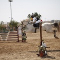 Poni club