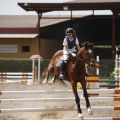 Poni club