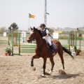 Poni club