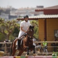 Poni club
