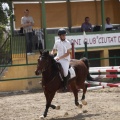 Poni club