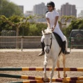 Poni club