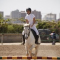 Poni club