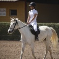 Poni club