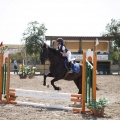 Poni club