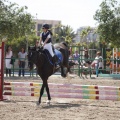 Poni club