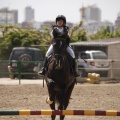 Poni club