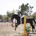 Poni club
