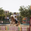 Poni club