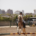 Poni club