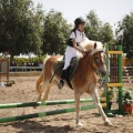 Poni club