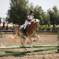 Poni club