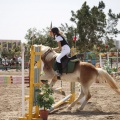 Poni club