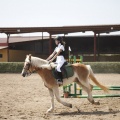 Poni club