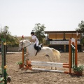 Poni club
