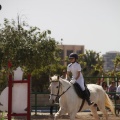 Poni club