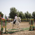 Poni club