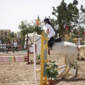 Poni club