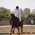 Poni club