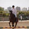 Poni club