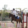 Poni club